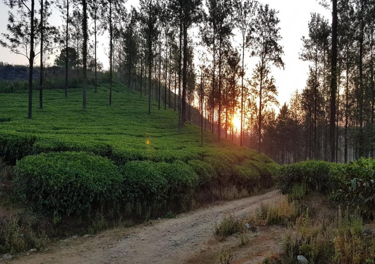 Glad Valley Wayanad By Lexstays-Tea Estate Villa Екстер'єр фото